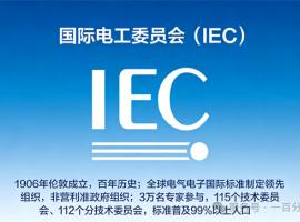 中外標準咨詢服務(wù)